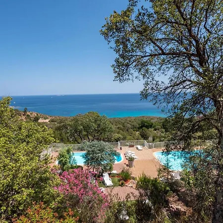 Semesterbostad El Oro - Terrasse Vue Et Piscine - Vecchio Porto-Vecchio (Corsica)
