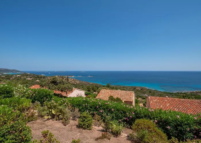 El Oro - Terrasse Vue Et Piscine - Vecchio Porto-Vecchio (Corsica)